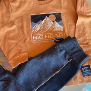 Conjunto Biogás - Bigbear